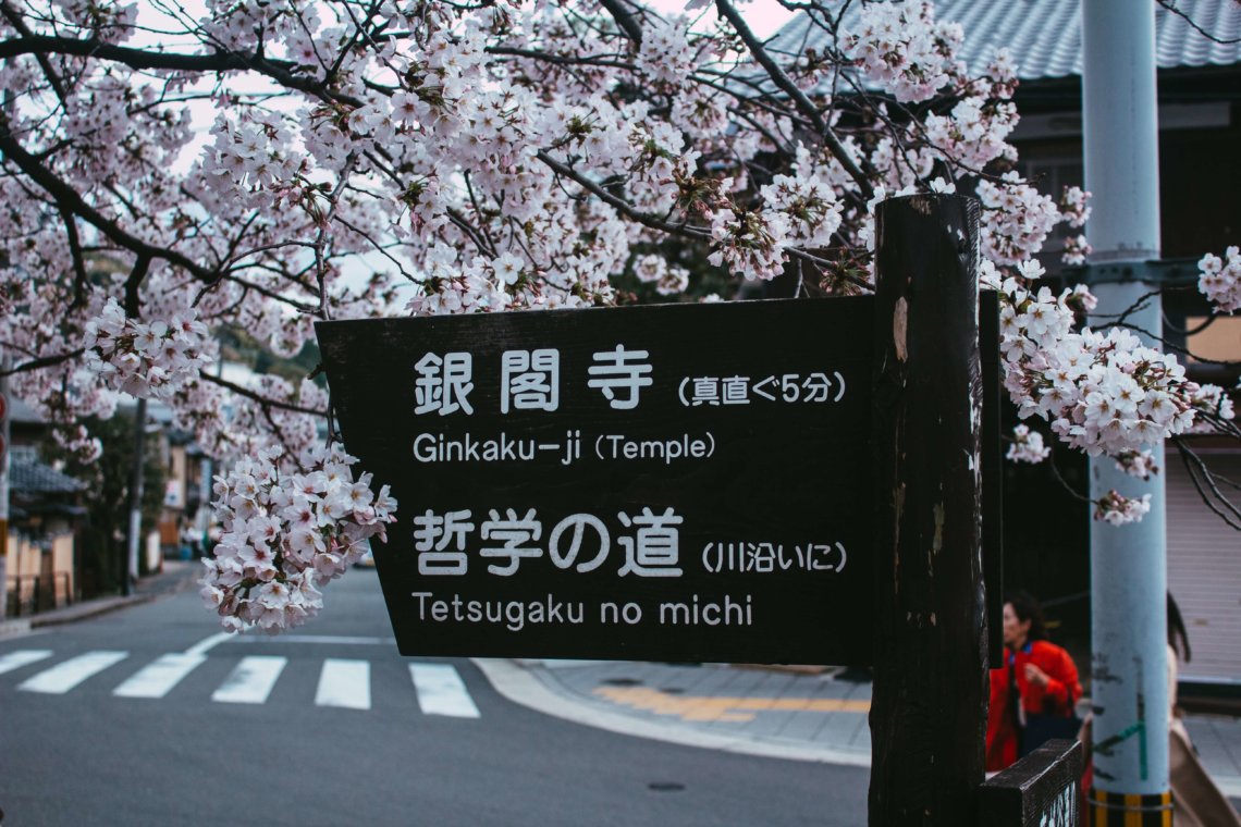 Sakura cherry blossoms Philosophers Path Kyoto Japan
