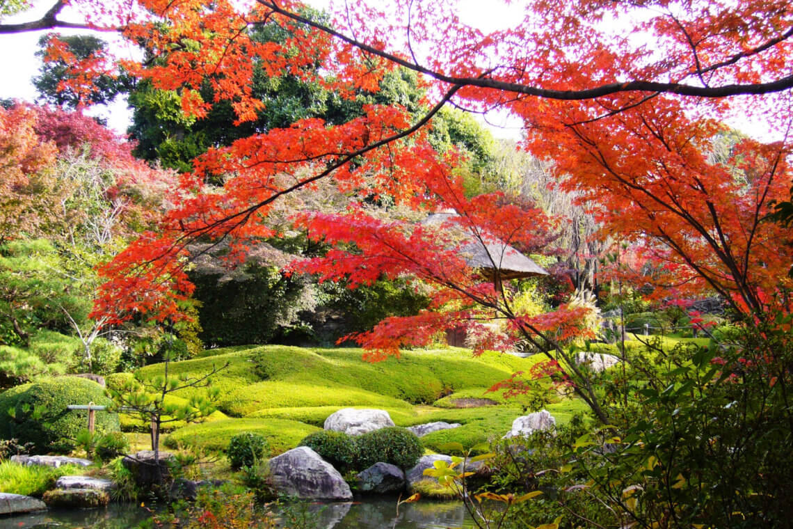 Yoko-en garden at Taizo-in temple in Kyoto